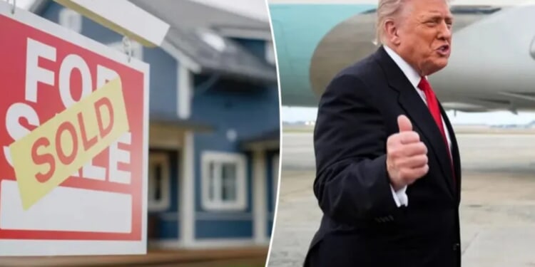 Trump downplays concerns over proposed 50-year mortgages