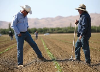 Trump plan to cut farmworker wages hurts US competitiveness