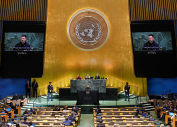 Trump should boost UN high commissioner for refugees