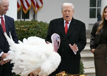 Trump taunts political opponents as turkey pardon goes off script: 'He's a fat slob'