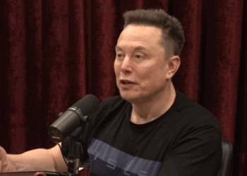 Turn off the money; they’ll leave: Elon Musk nails the border truth