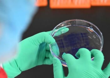 University of Michigan's bio-smuggling scandal explodes: More Chinese scholars busted in alleged plot