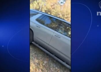 Univision Spotlights Active Obstruction of ICE