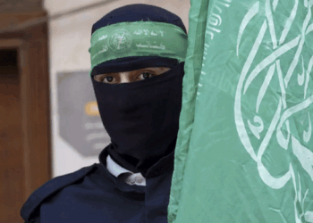 “We Are Confused. Did You Win or Lose?”