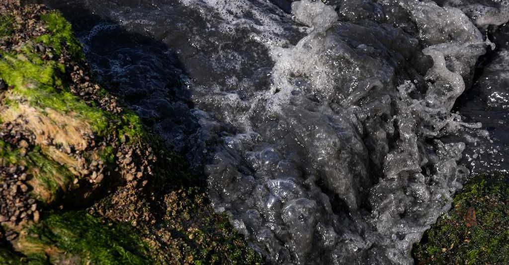 The poisoned stream of culture is flowing through our churches