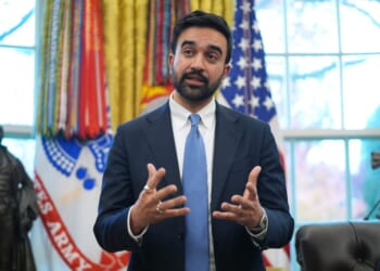 Zohran Mamdani: A socialist scavenger