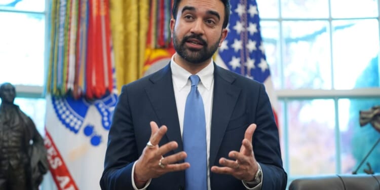 Zohran Mamdani: A socialist scavenger