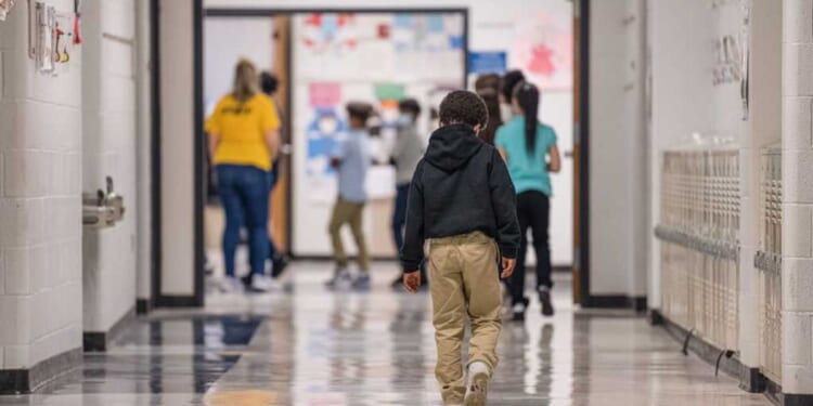 Chicago school district lets children ditch class over ICE fears: Report
