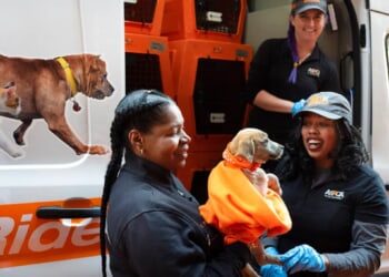 ASPCA sends scraps to local shelters, watchdog warns