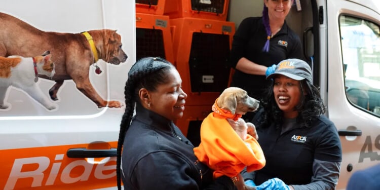 ASPCA sends scraps to local shelters, watchdog warns