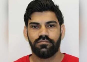 Illegal alien trucker accused of causing crash that killed newlyweds