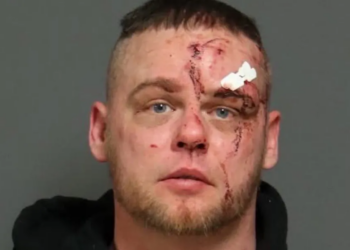 Thug picks wrong victim to allegedly point weapon at, chase — and the tables painfully turn on him