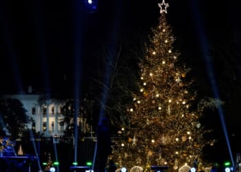 Washington DC lights the National Christmas Tree