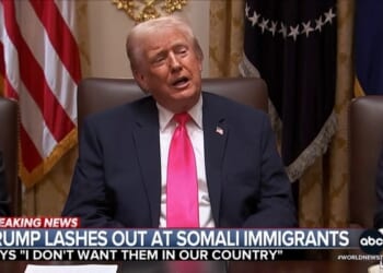 Networks Spend Only 28% of Somali Coverage on Fraud