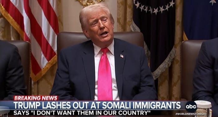 Networks Spend Only 28% of Somali Coverage on Fraud