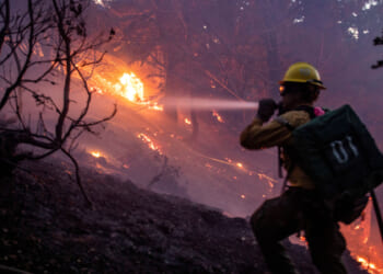 The <i>Los Angeles Times</i> Misses the Forest Fire Scandal for the Trees