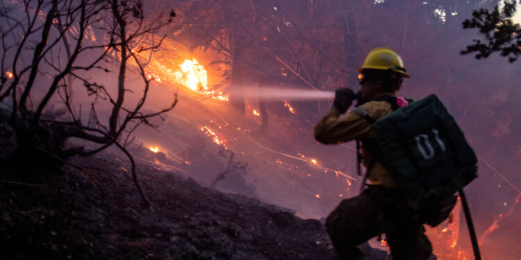The <i>Los Angeles Times</i> Misses the Forest Fire Scandal for the Trees
