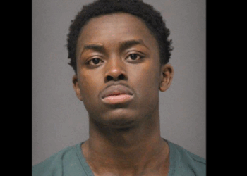 Thug attacks mother walking her toddler in stroller, cops say; 10 days later — on Thanksgiving — he's accused of even worse