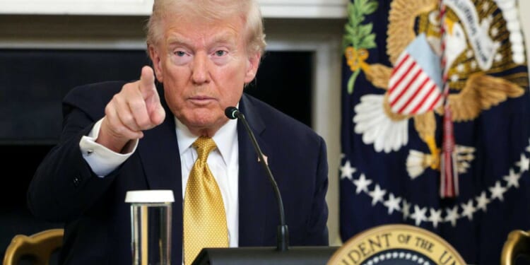 Trump crushes 'obnoxious' reporter at White House briefing: 'It's always the same thing with you!'