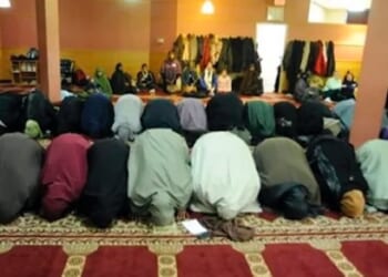 Somali Migrants Scam Minnesota Taxpayers Out of Billions