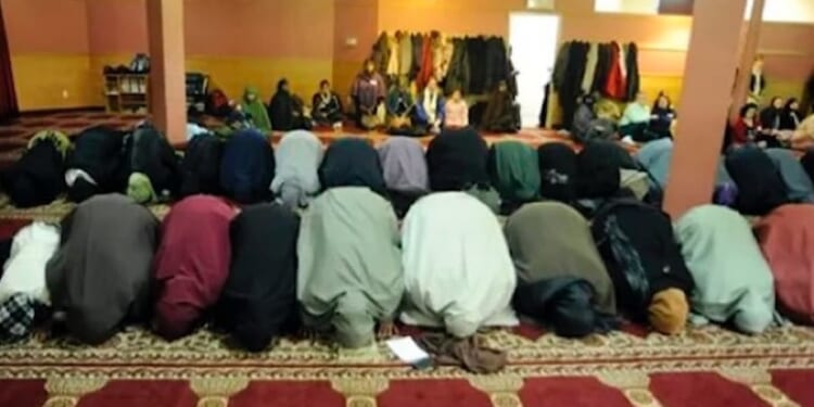 Somali Migrants Scam Minnesota Taxpayers Out of Billions