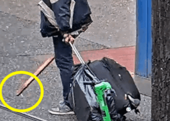 Felon previously convicted for assault accused of swinging stick with metal screw on the end, bashing elderly woman in face