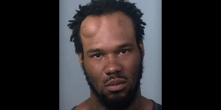 9-time convicted felon opens fire on man, woman outside Florida home; he allegedly was after money owed to him: Cops