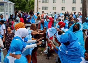 What Somalis Have Done for Minnesota