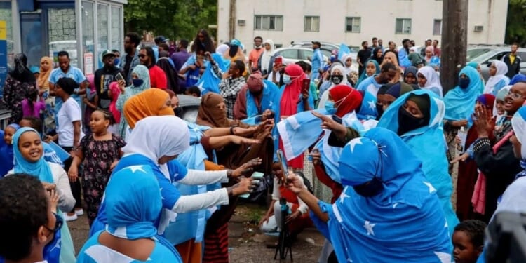 What Somalis Have Done for Minnesota