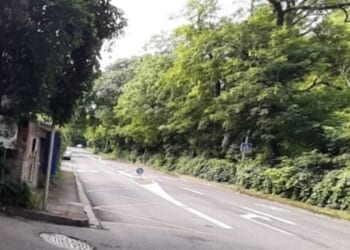 Two Algerians, One French Woman