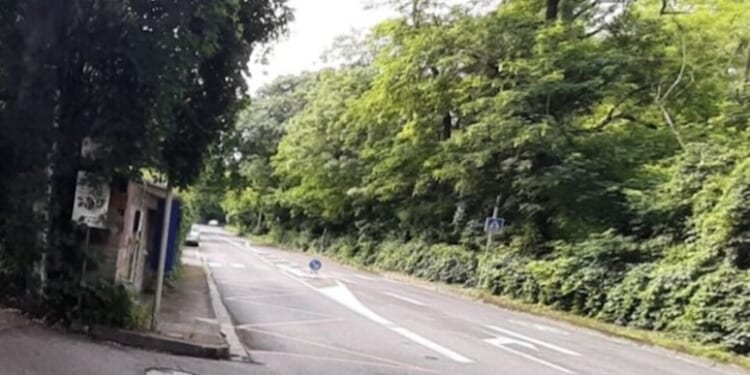 Two Algerians, One French Woman