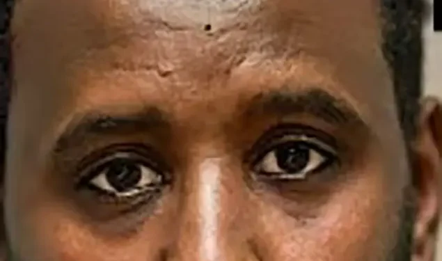 Dem Judges are Protecting Somali Fraudsters