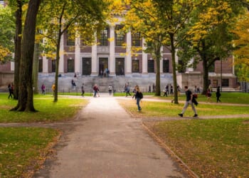 It’s the Incentives, Stupid