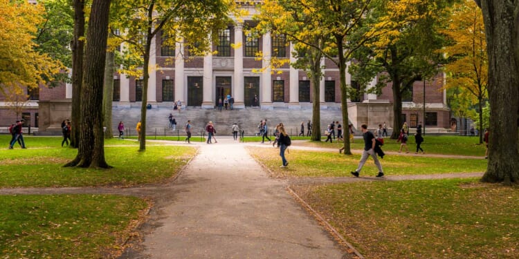 It’s the Incentives, Stupid