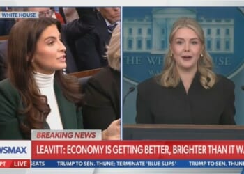 Leavitt Puts CNN’s Collins on Blast Over Questions About the Economy