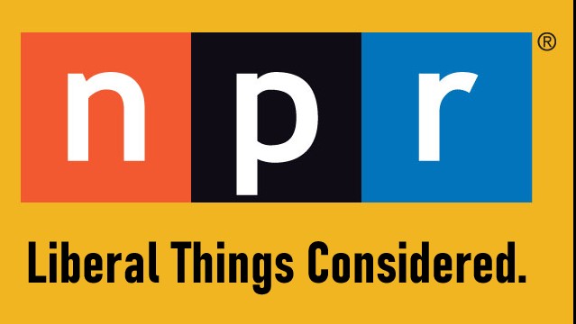 NPR's Mara Liasson Hypes Democrats 'On a Roll,' 'Unified,' with No Litmus Tests