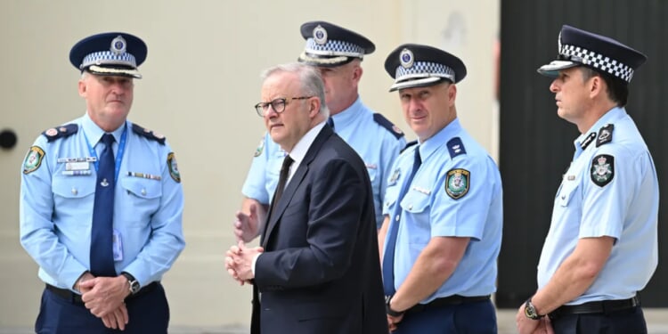 Albanese under pressure for allegedly ignoring antisemitism