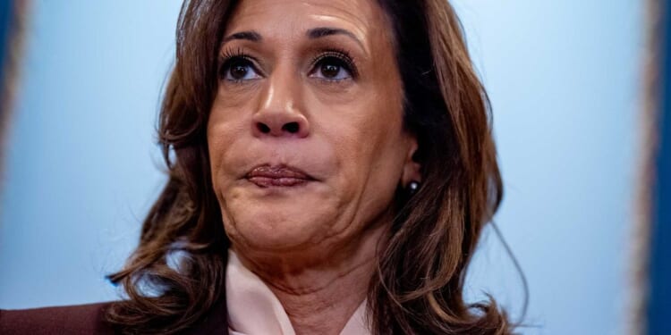 Kamala Harris wants to run for president again? Some see signs despite donors and party leaders worrying she cannot win.