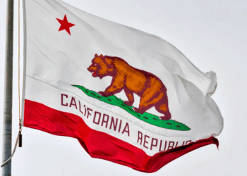 Politico Worries Over Too Many Dem Candidates = GOP Win in California