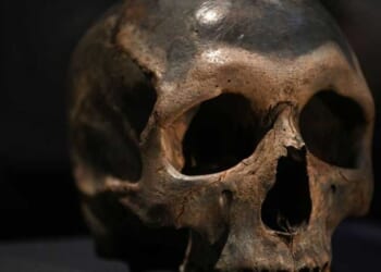 The liberal myth of the 'first black Briton' just got blown out of the water