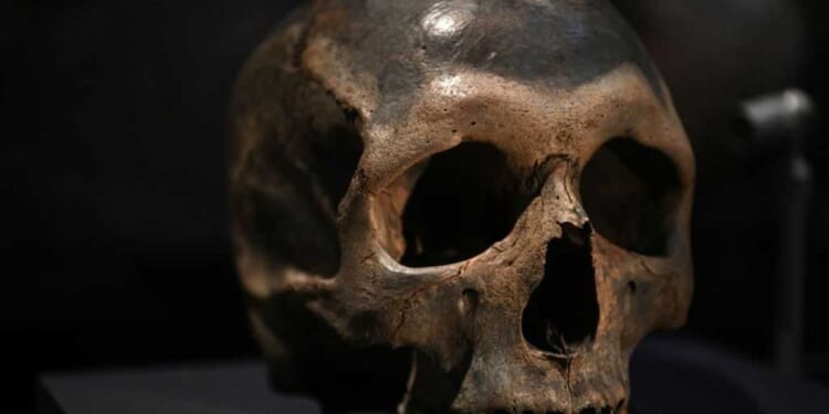 The liberal myth of the 'first black Briton' just got blown out of the water