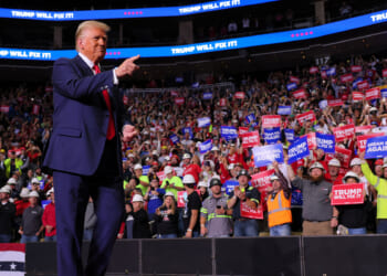 Is Populism Popular?