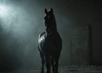 The Religion of the Strong Horse