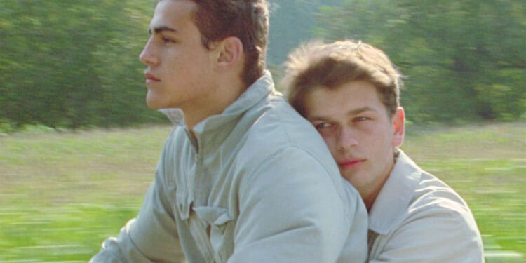 The Lessons of <i>Wild Reeds</i>