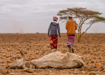 UN Fakes a Famine in Kenya to Save USAID