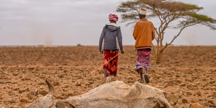 UN Fakes a Famine in Kenya to Save USAID