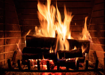 Why We Still Love the Yule Log
