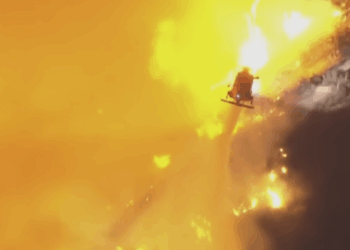 Why LAFD Refused to Put Out LA Wildfires: “Heck No That Area is Full of Endangered Plants."