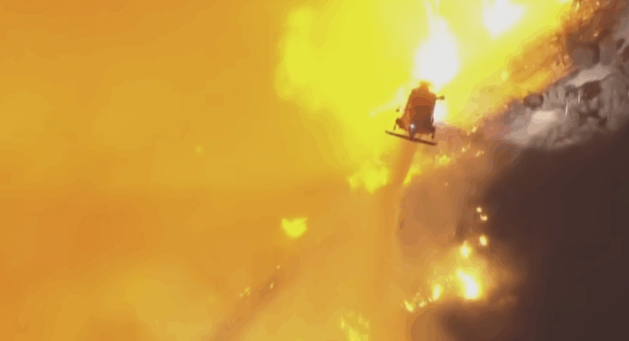 Why LAFD Refused to Put Out LA Wildfires: “Heck No That Area is Full of Endangered Plants."