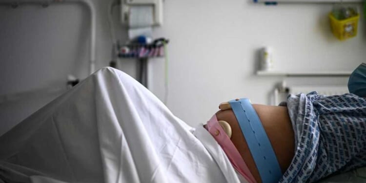 '50 high-quality sons': Chinese men are siring US citizen 'mega-families' via surrogacy: Report